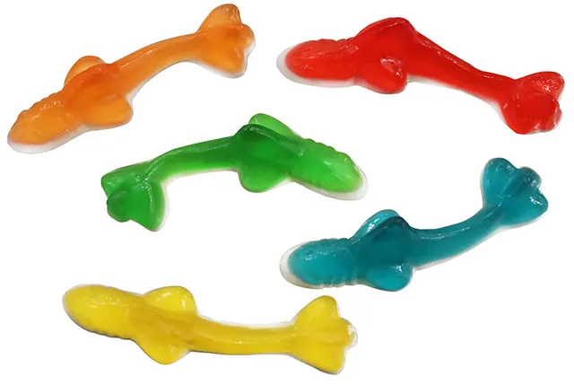Jake Assorted Sharks