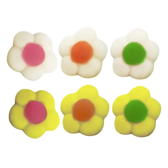 Jake Daisies (Daisy Flowers)